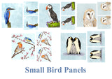 Bird Panel series of 2020 IN STOCK