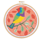 Rainbow Finch Cross Stitch Kit - By Hawthorn